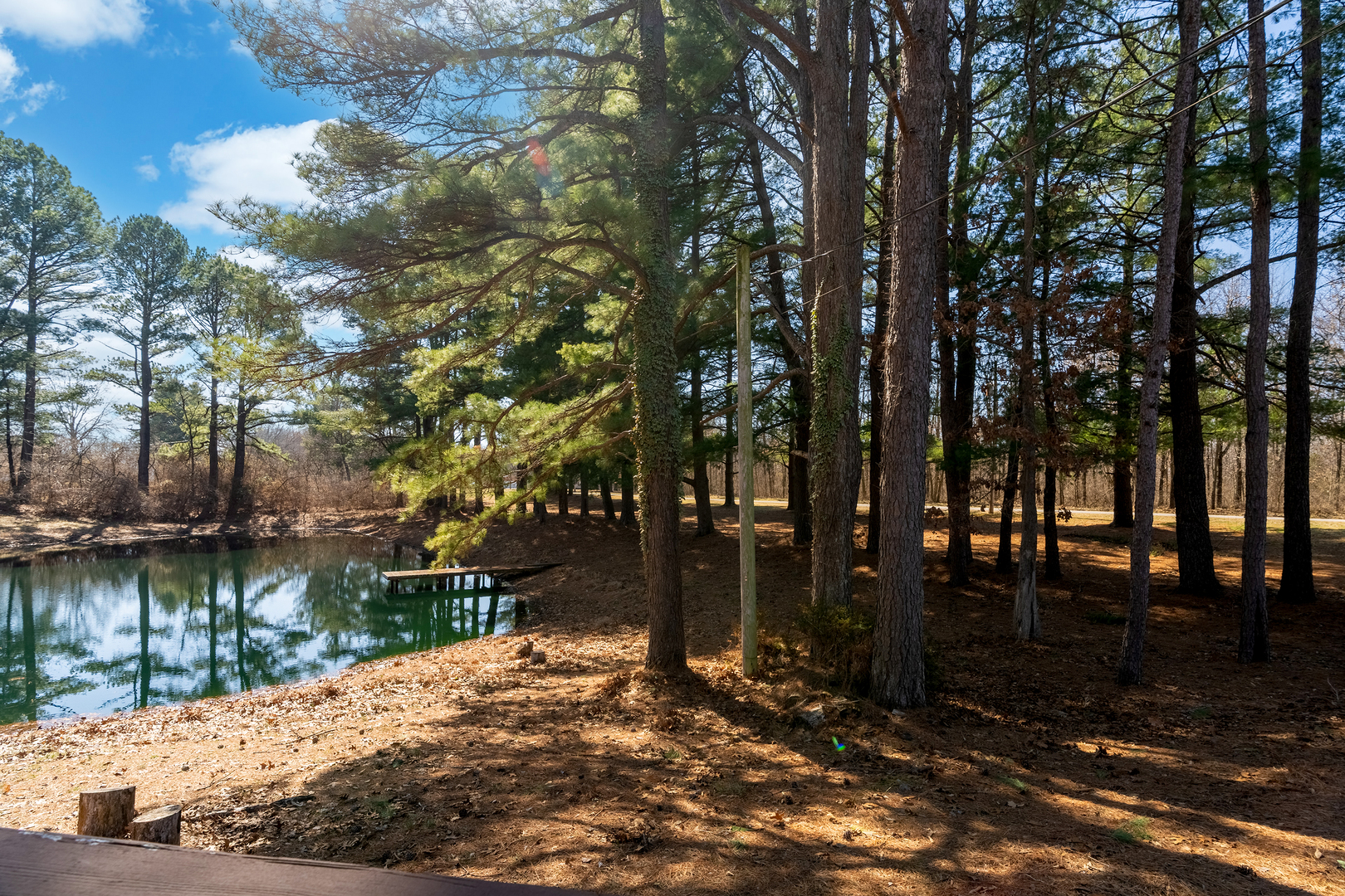 16578 N Oak Hill Lane Property Photo 49