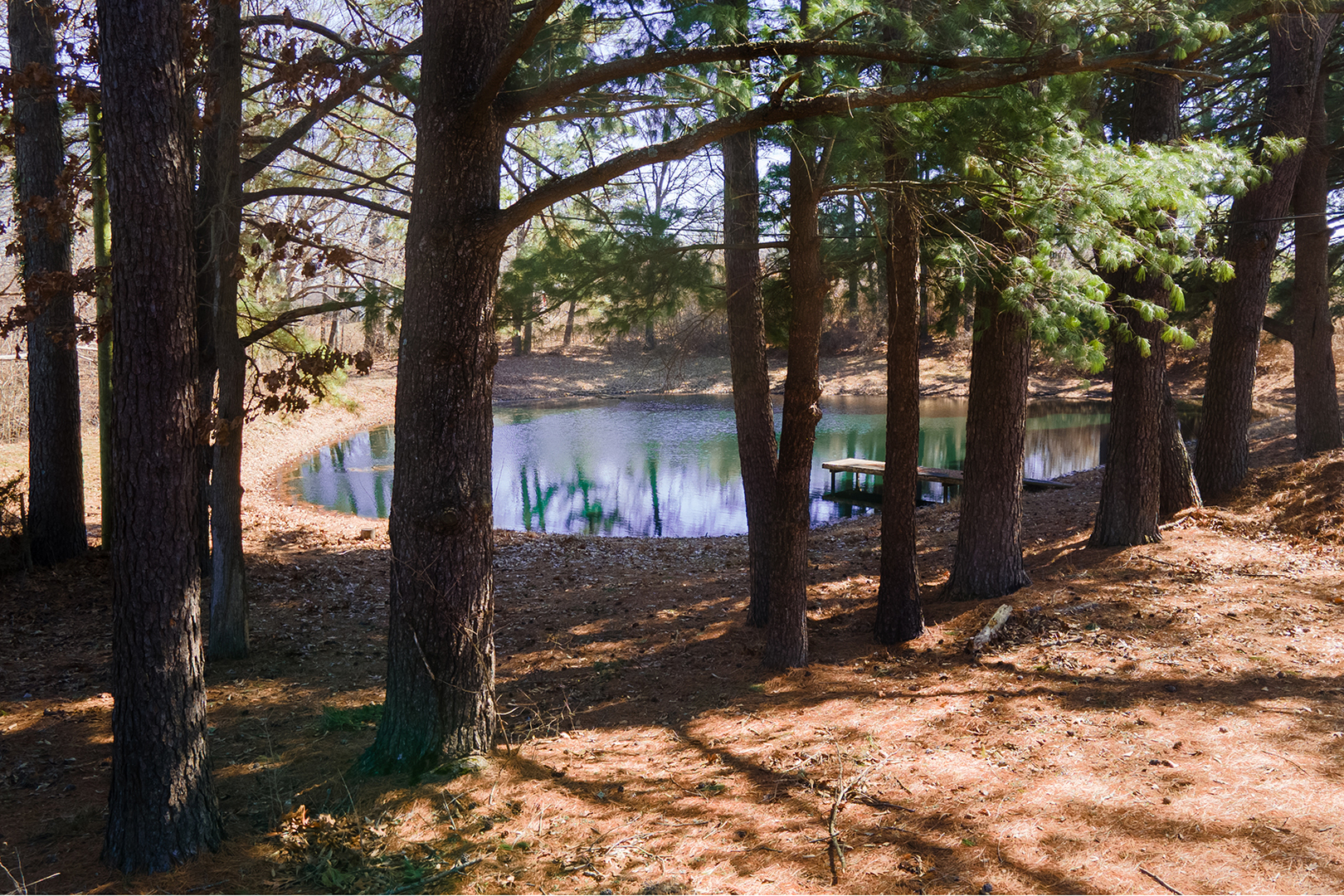 16578 N Oak Hill Lane Property Photo 77