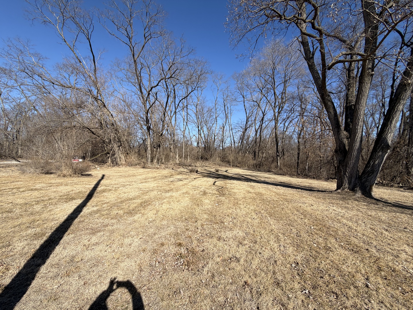 601 May Street Property Photo 2