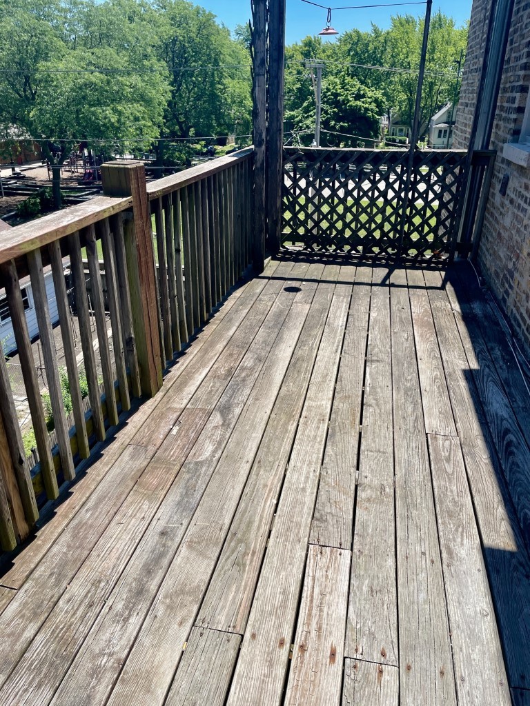 7025 N Damen Avenue 3 Property Photo 18