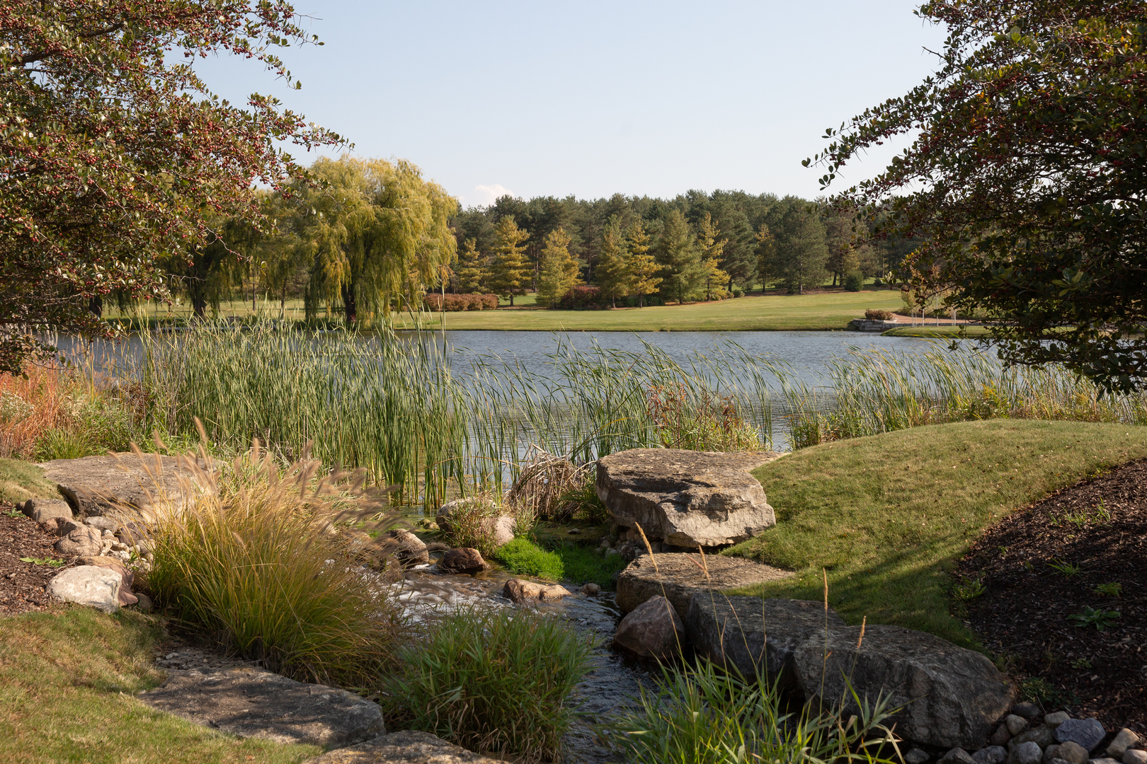 12584038 Property Photo 29