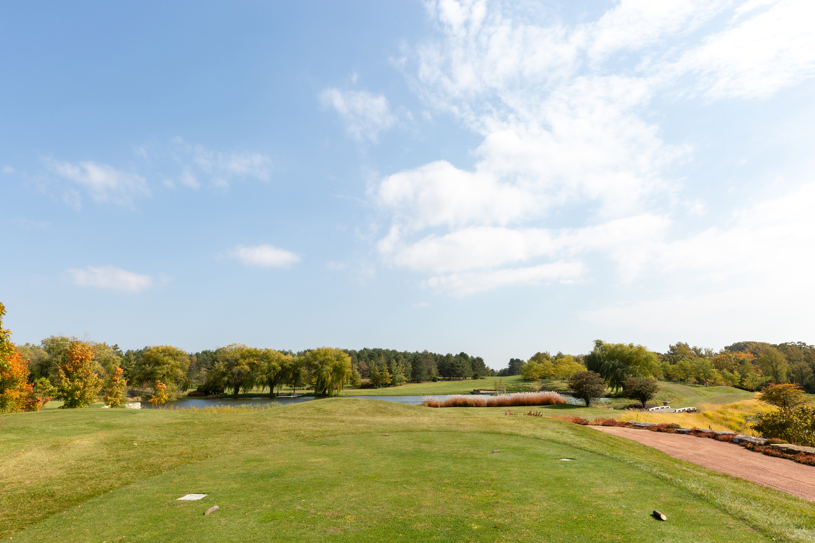 12584038 Property Photo 39