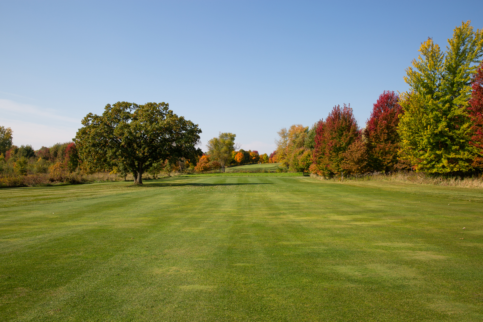 12584038 Property Photo 42
