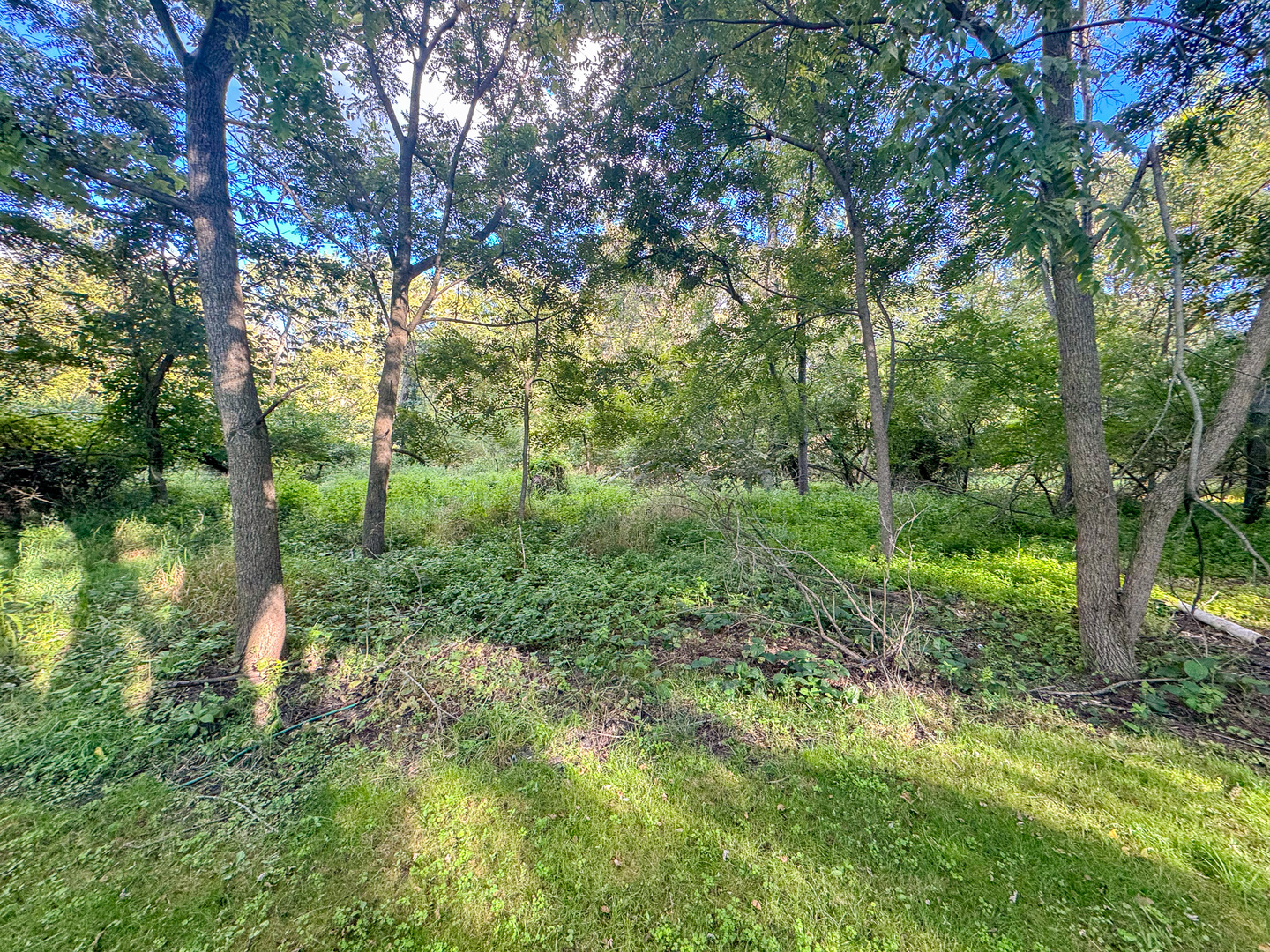 17/83 Woodhaven Property Photo 11