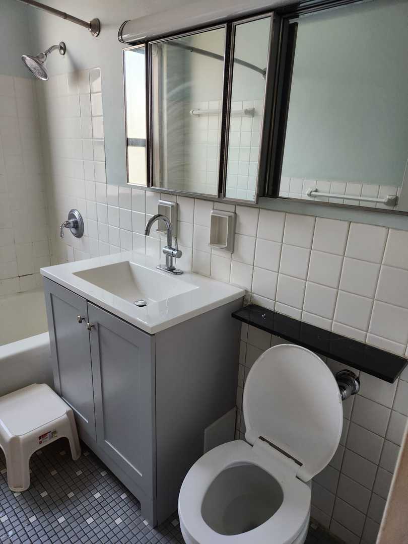 3950 N Lake Shore Drive 2312 Property Photo 9