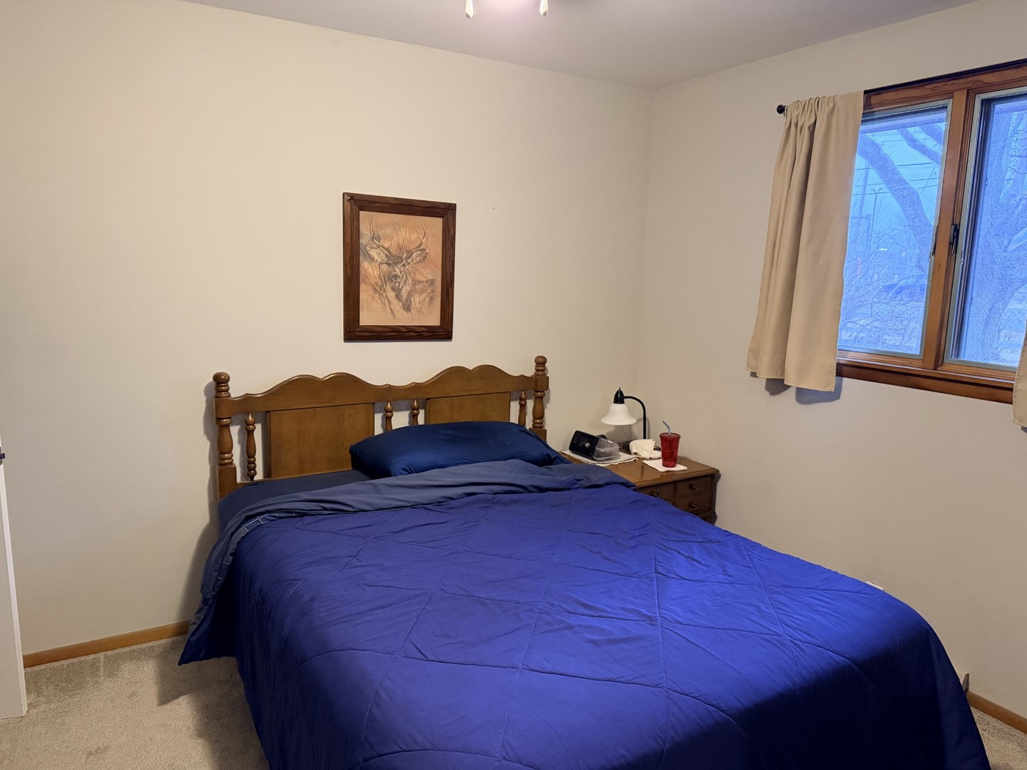 815 W Walnut Street Property Photo 9
