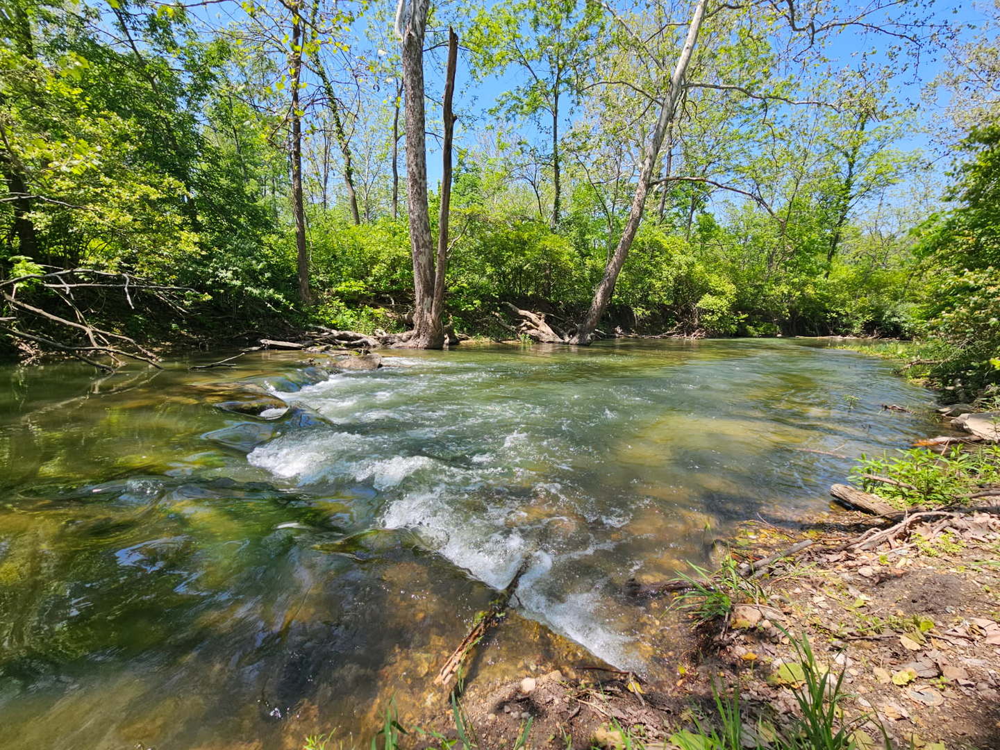 17539 E 2600 North Road Property Photo 92