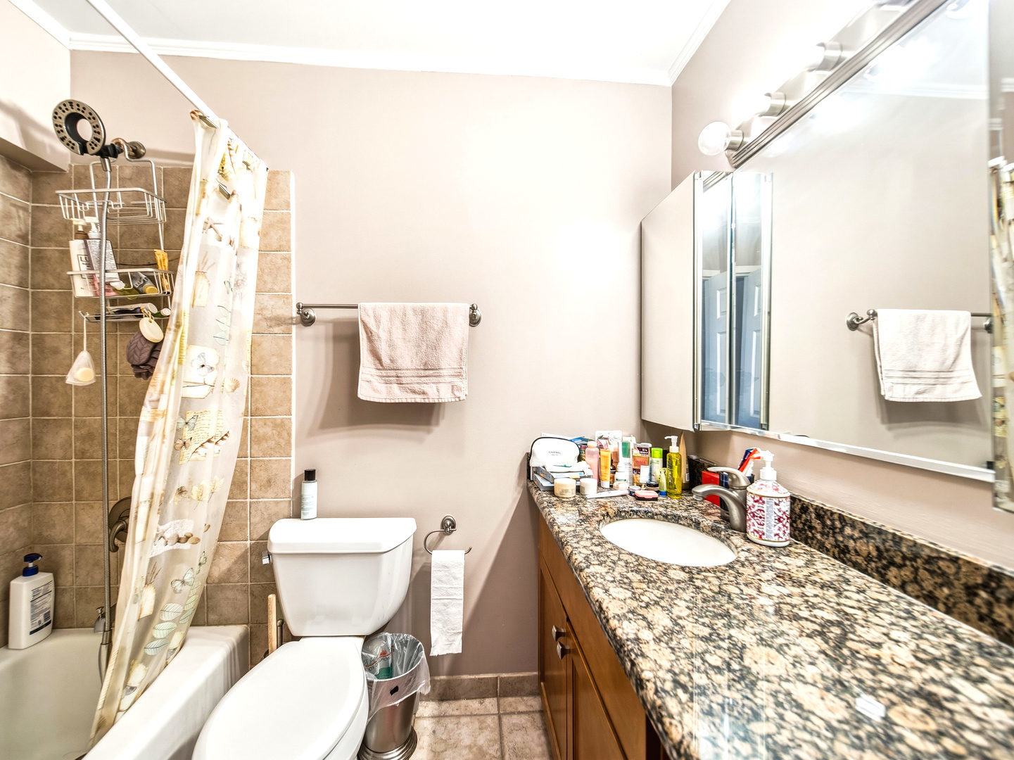 5455 N Sheridan Road 1404 Property Photo 15