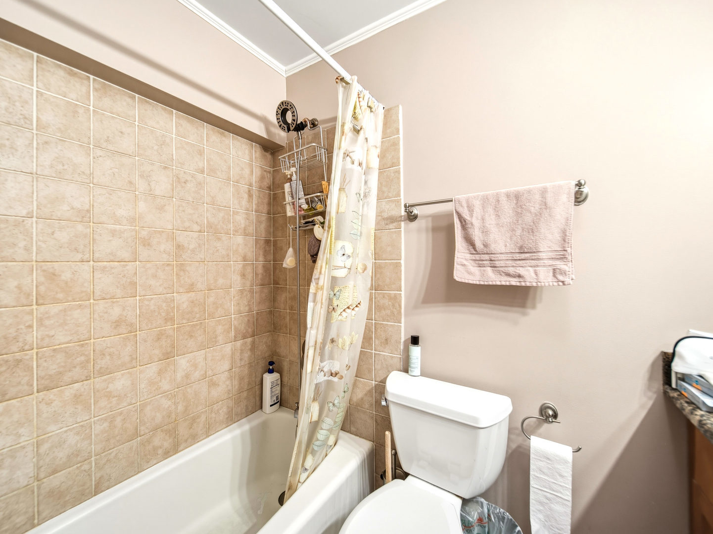 5455 N Sheridan Road 1404 Property Photo 16