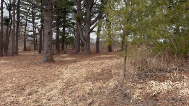 0 Shaw Road Property Photo 5