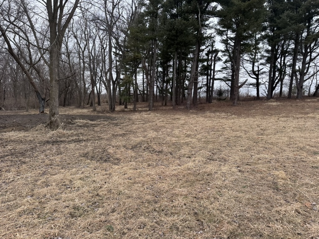 0 Shaw Road Property Photo 6