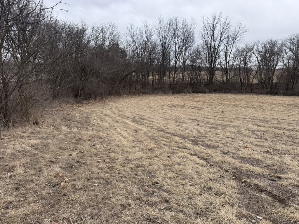 0 Shaw Road Property Photo 8
