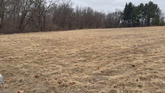 0 Shaw Road Property Photo 15
