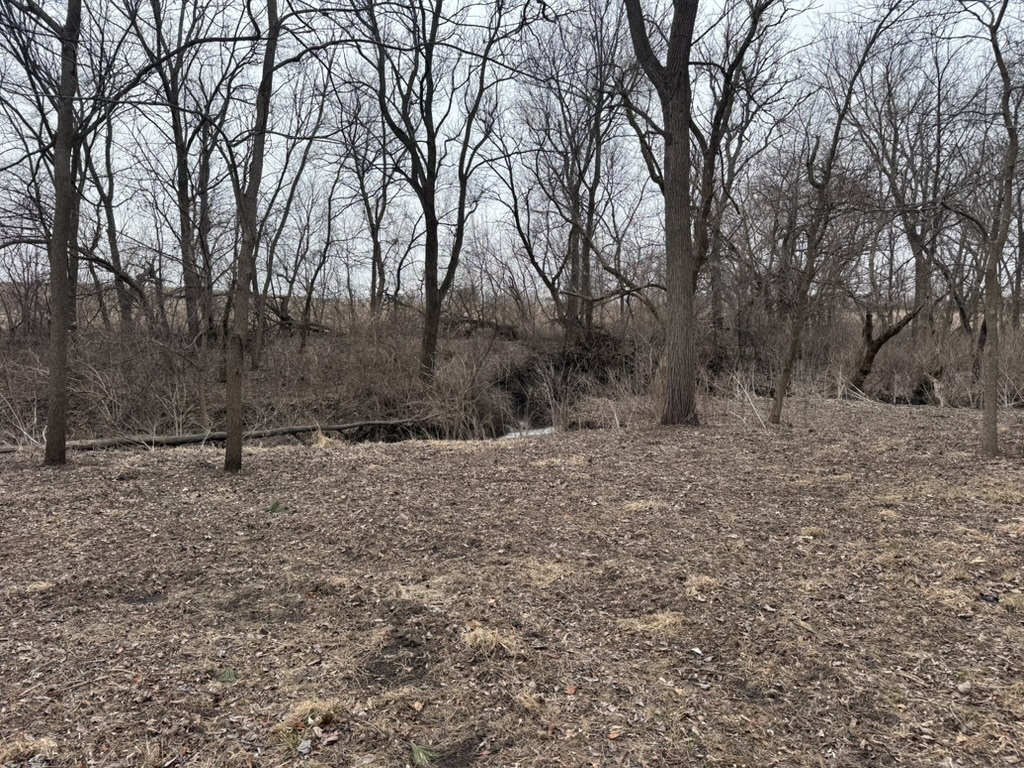 0 Shaw Road Property Photo 17