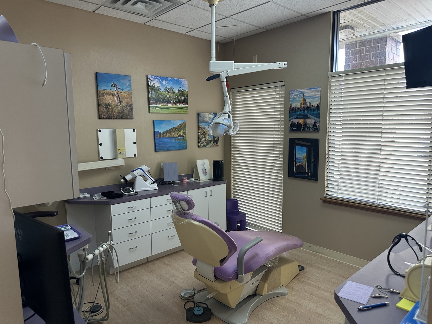 34491 N Old Walnut Circle Property Photo 8