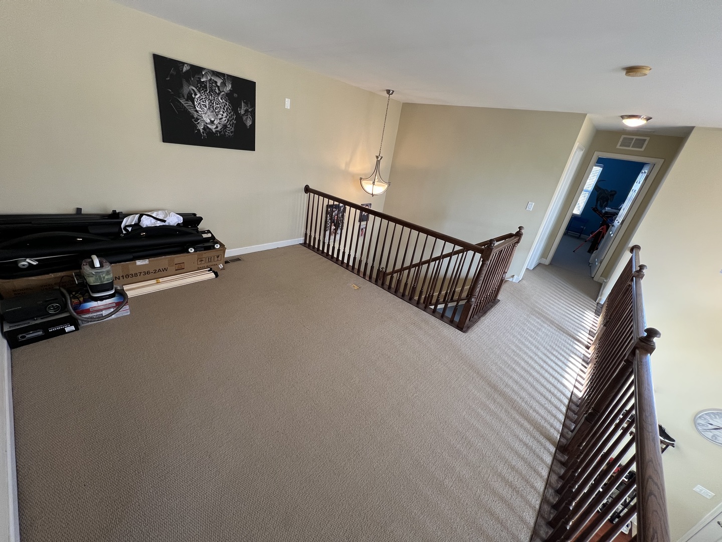380 Risen Star Lane 380 Property Photo 12