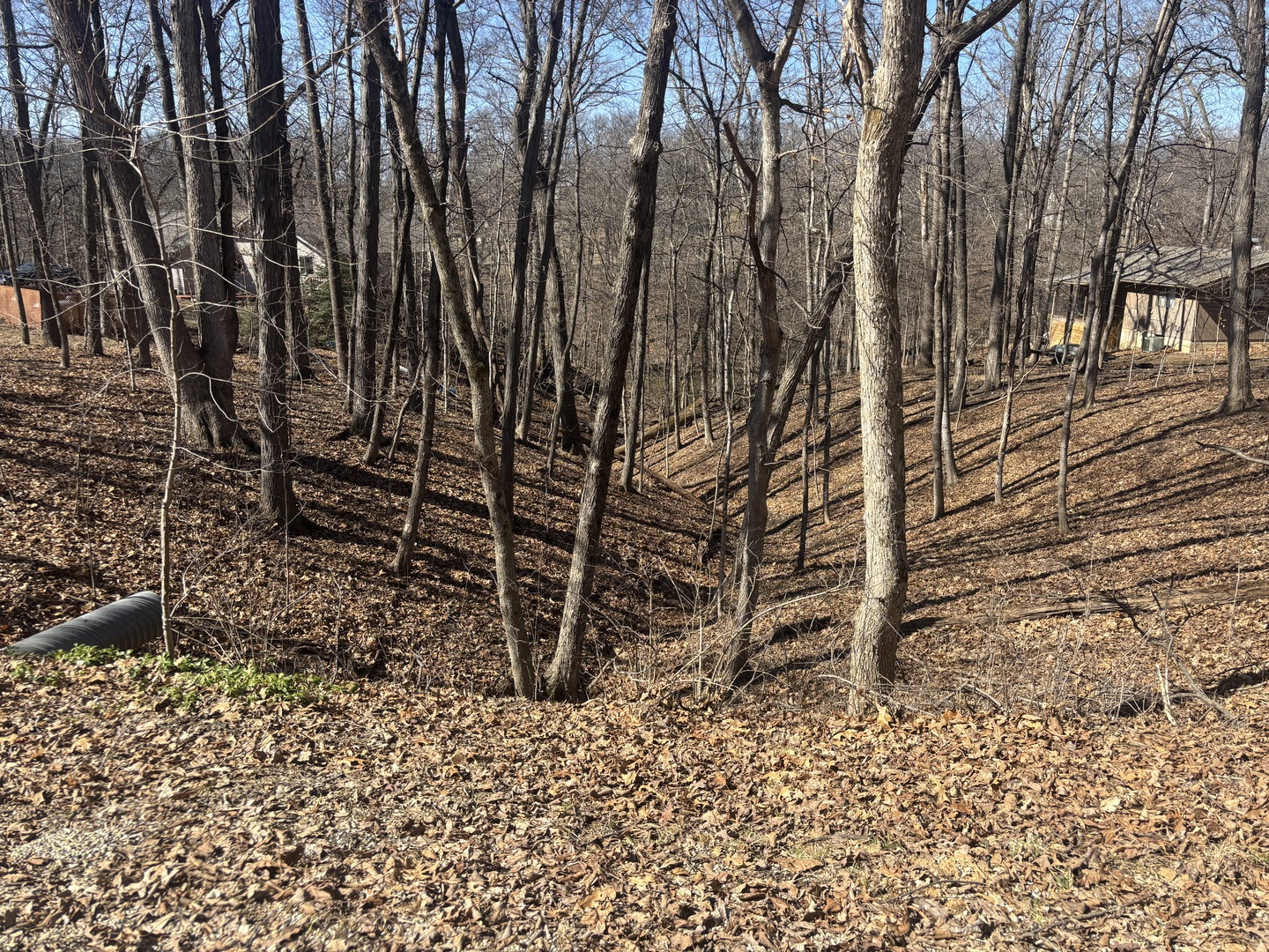 1673 Lakeside Court Property Photo 1