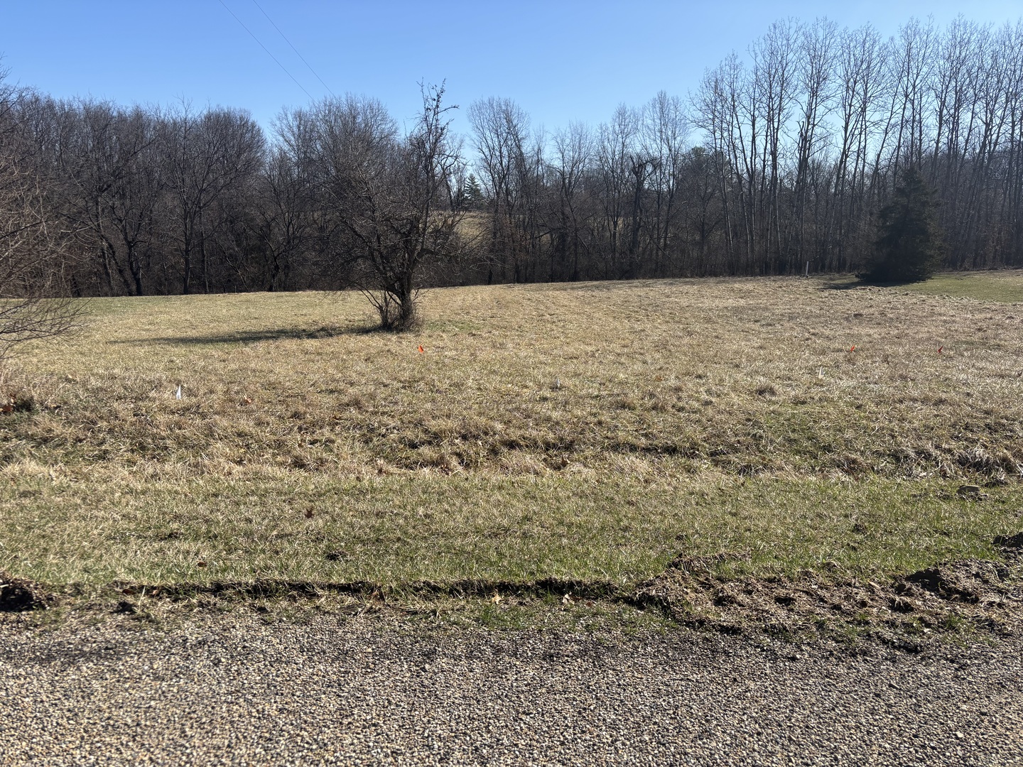 1050 Spring Mill Court Property Photo 1
