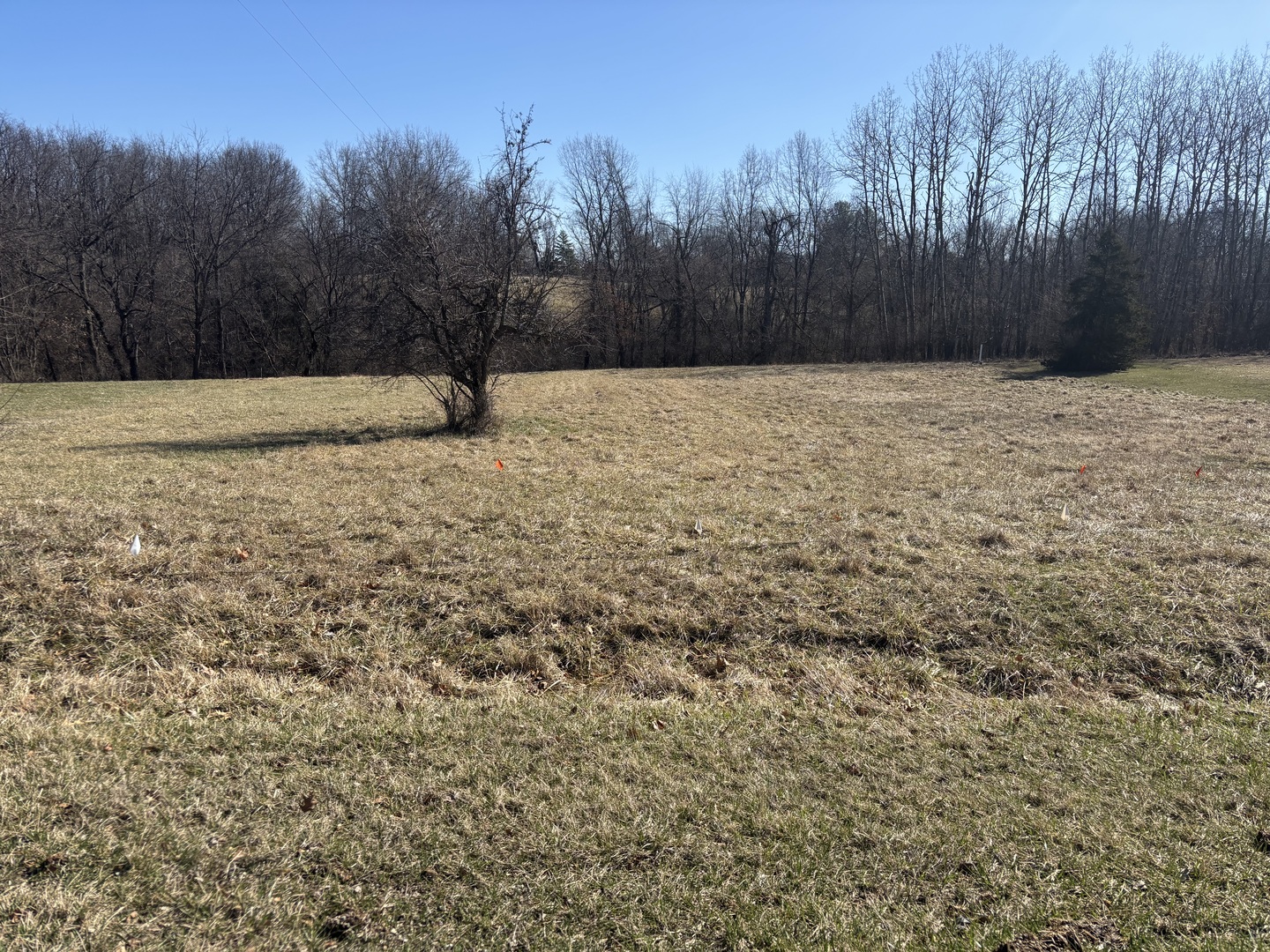 1050 Spring Mill Court Property Photo 2