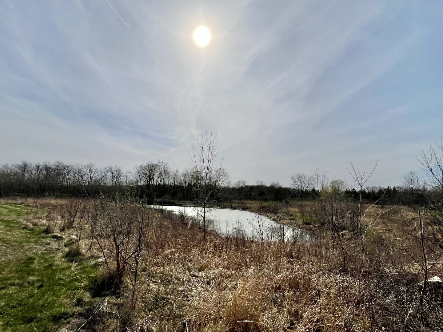 10665 Red Leaf Circle Property Photo 2