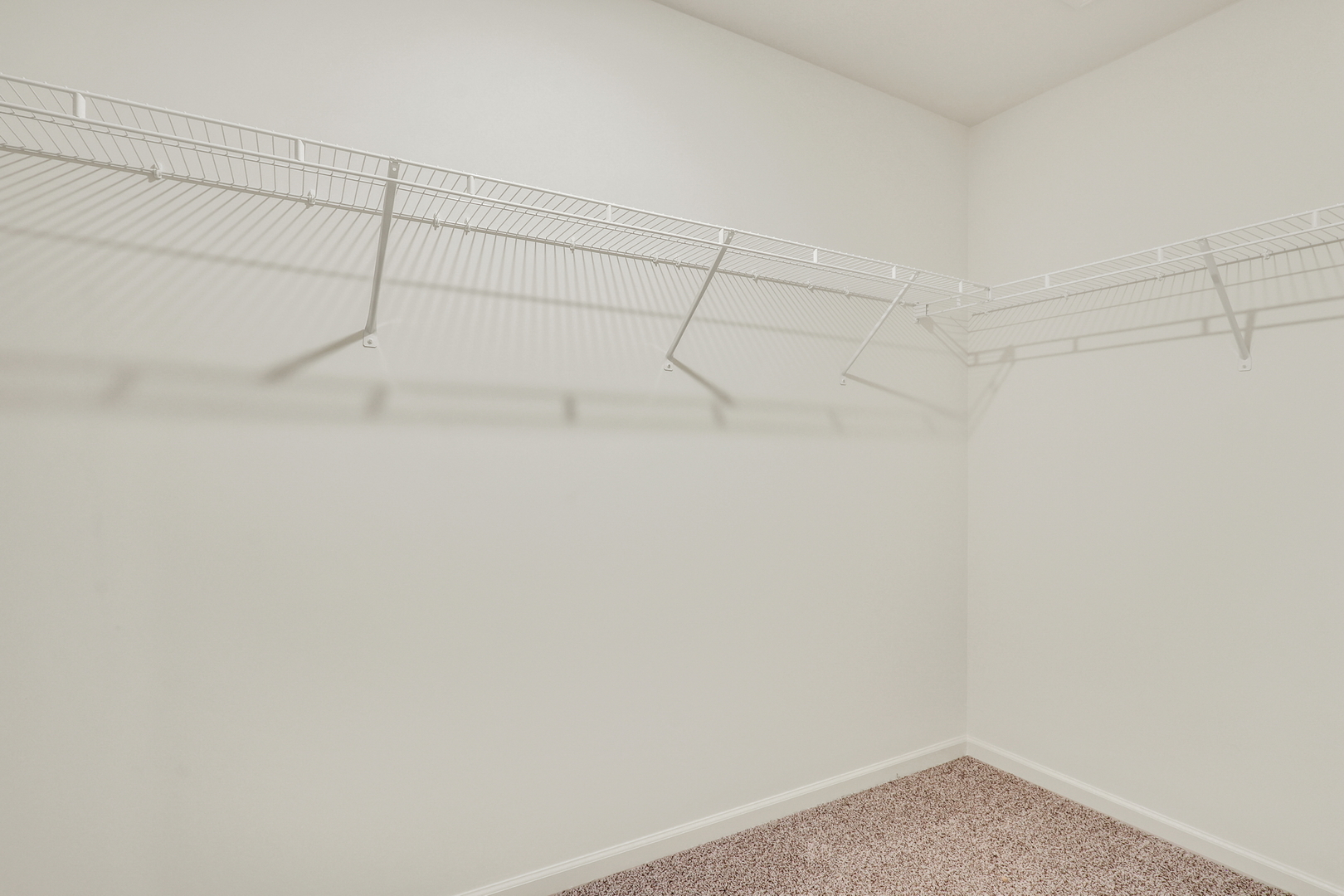 10017 Edgebrook Lane Property Photo 24