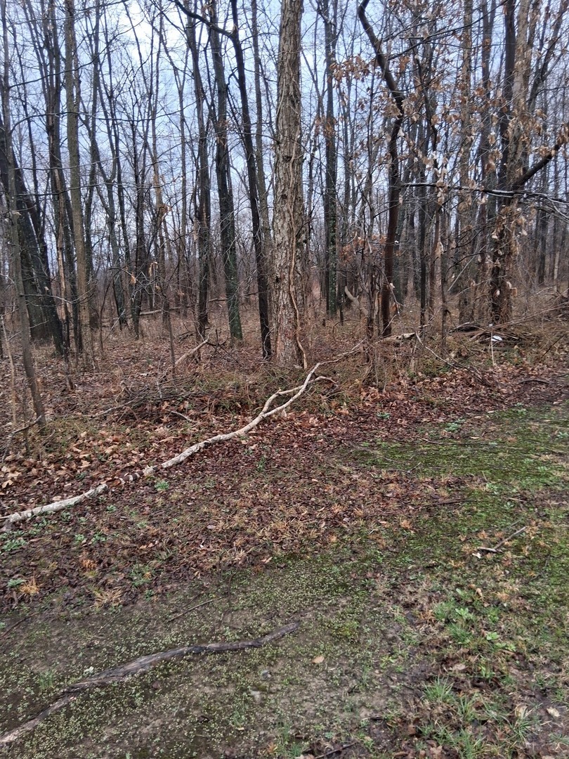 17092 Route 37 Highway Property Photo 22
