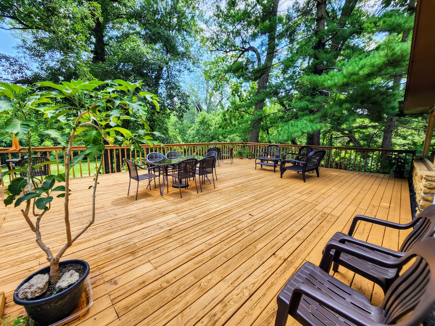 20798 White Oaks Road Property Photo 8