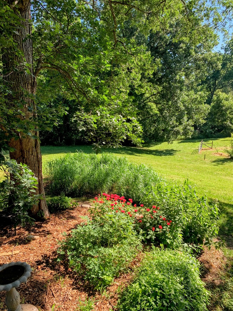 20798 White Oaks Road Property Photo 42