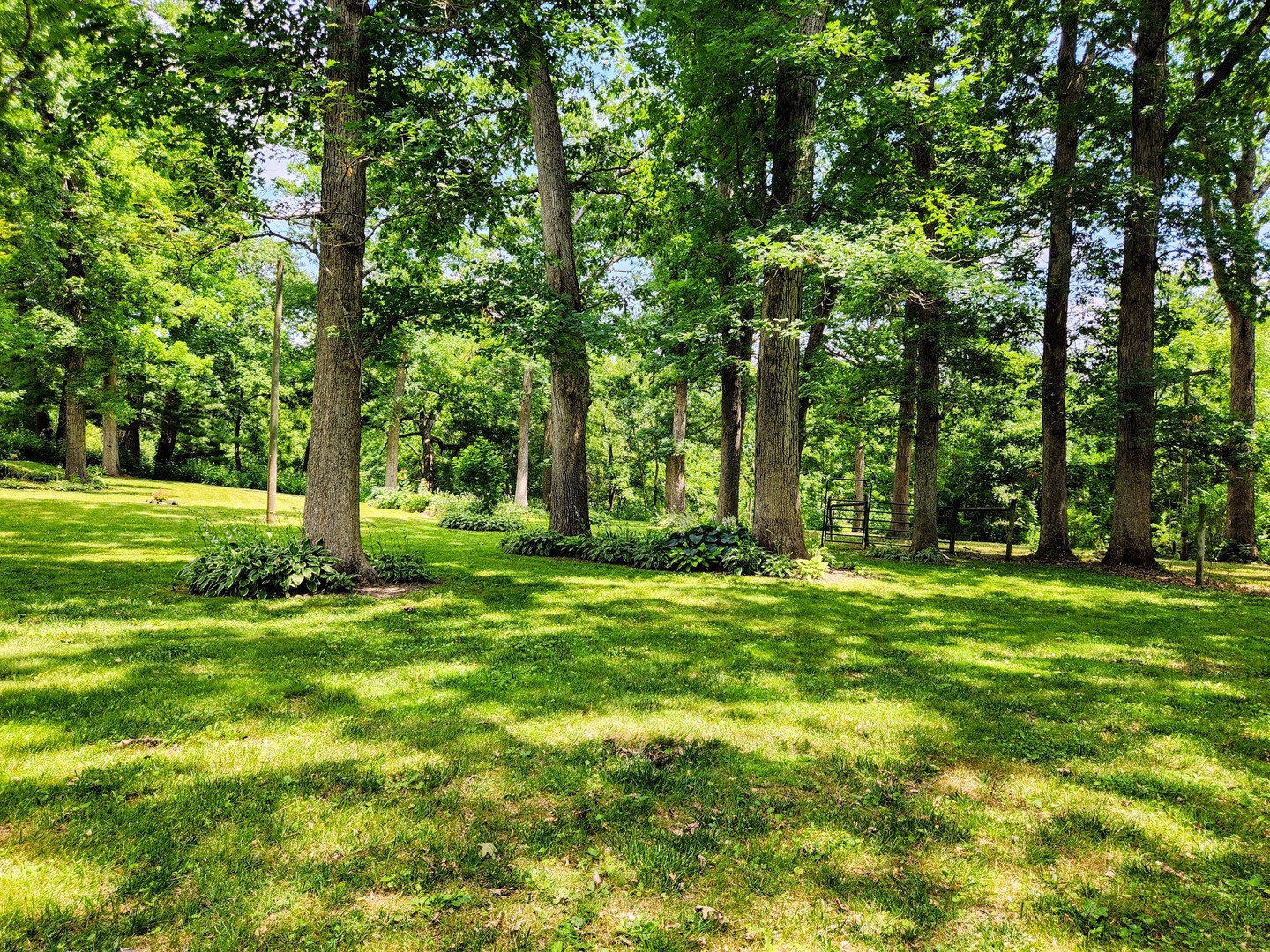 20798 White Oaks Road Property Photo 43