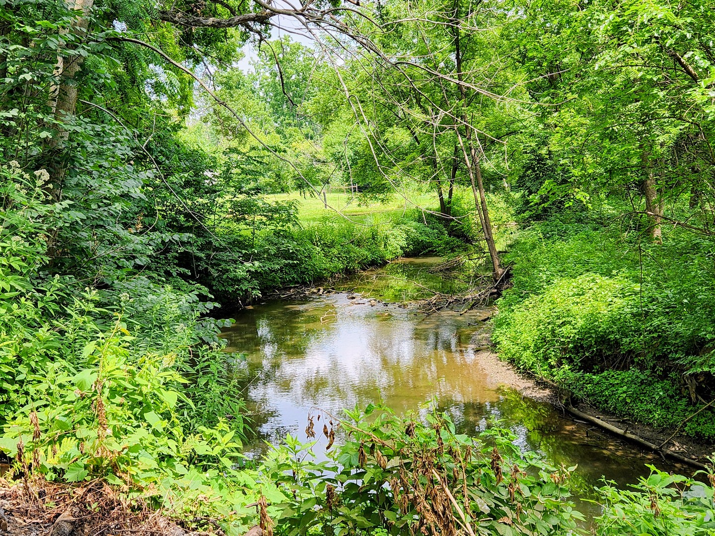 20798 White Oaks Road Property Photo 44