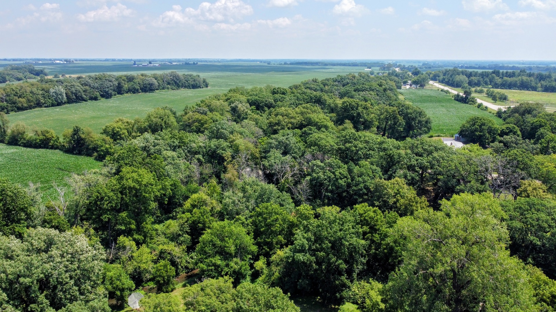 20798 White Oaks Road Property Photo 48