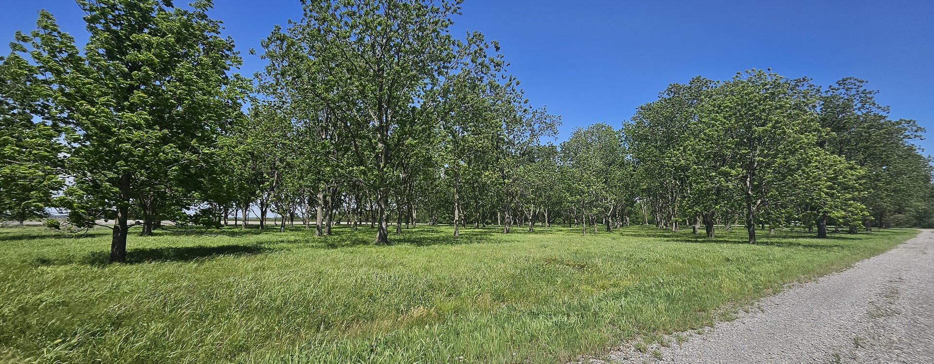0 Gerard Road Property Photo 6