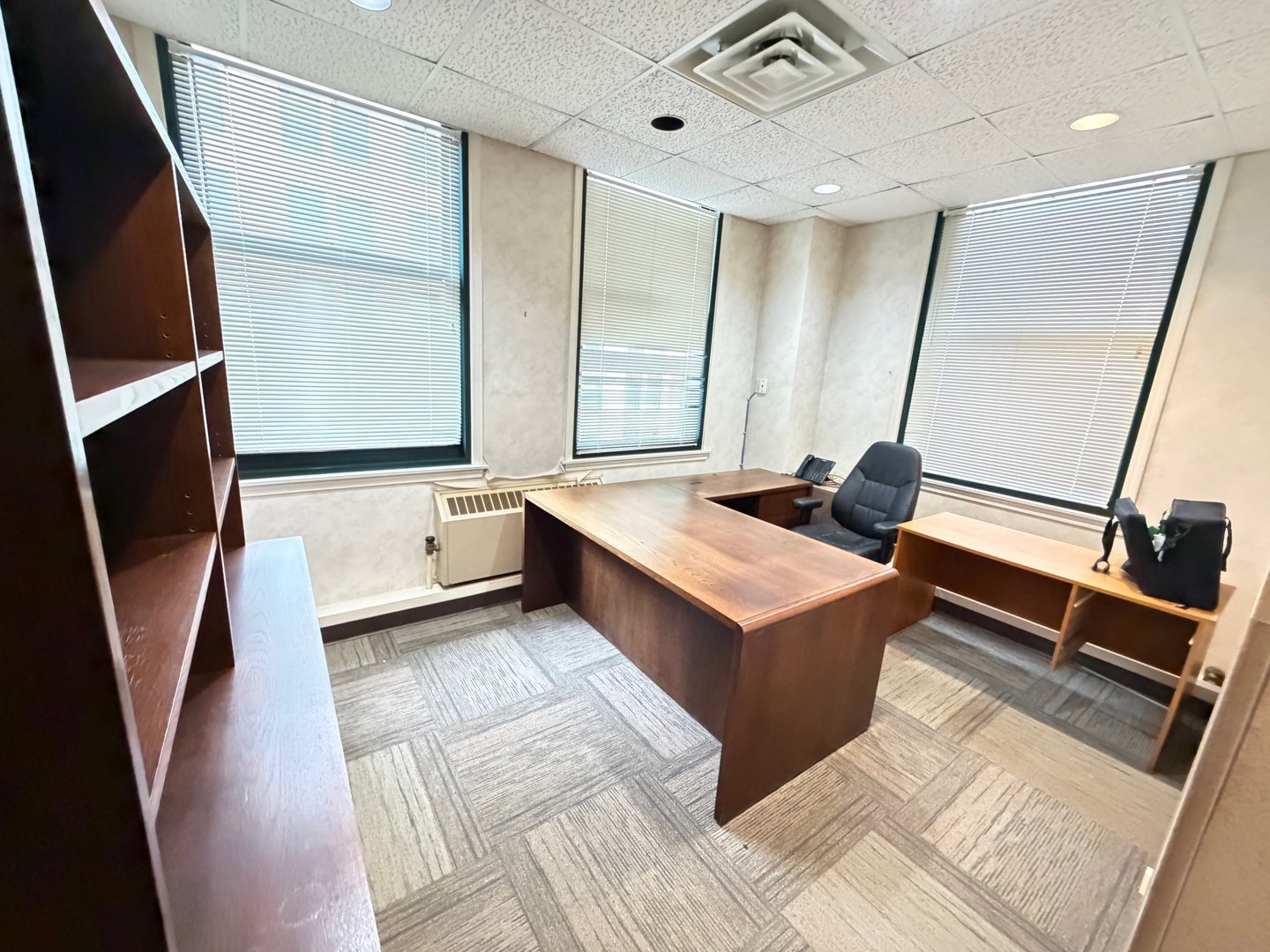 111 N Wabash Avenue 1610 Property Photo 7