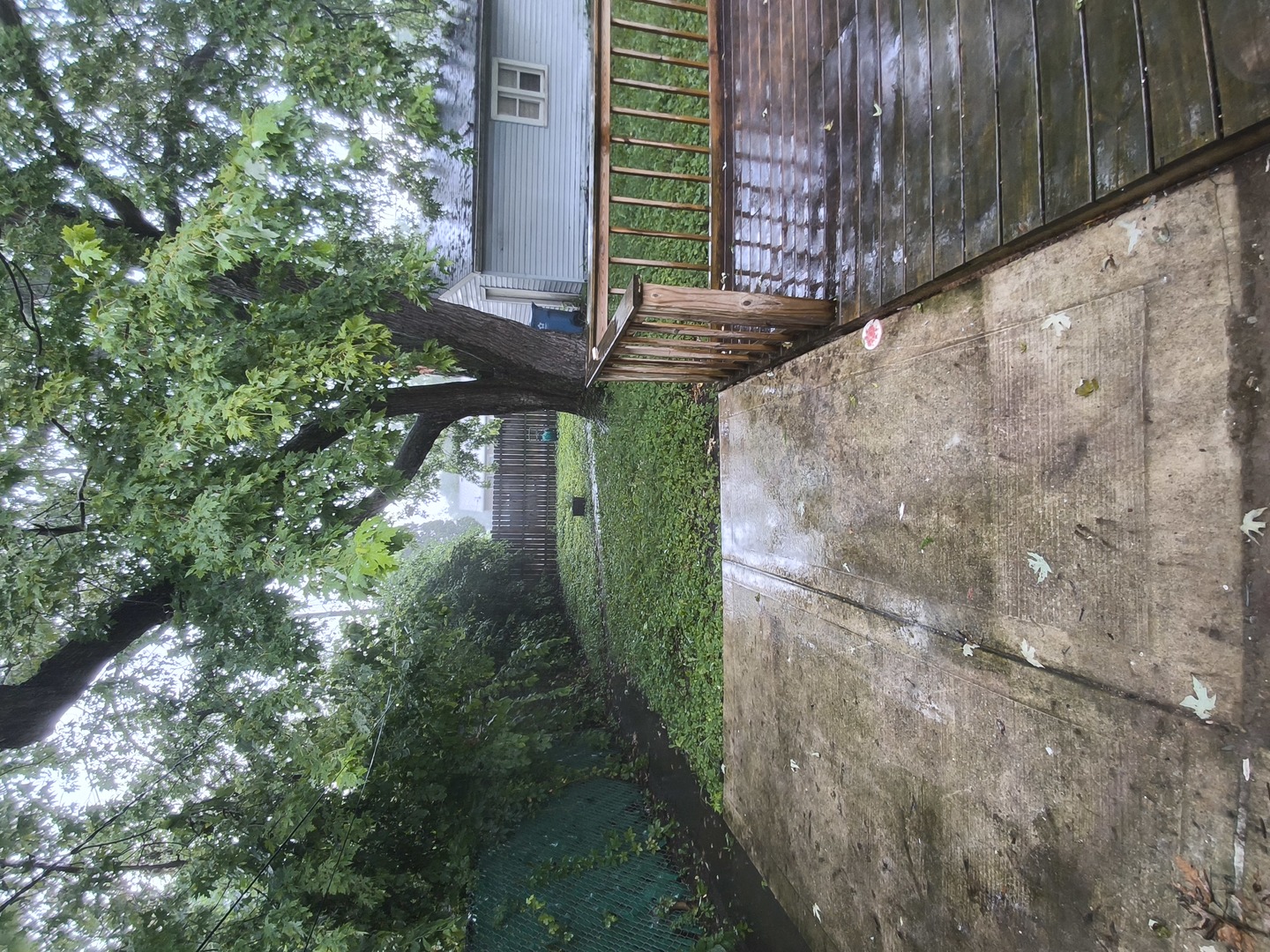 15112 Honore Avenue Property Photo 6