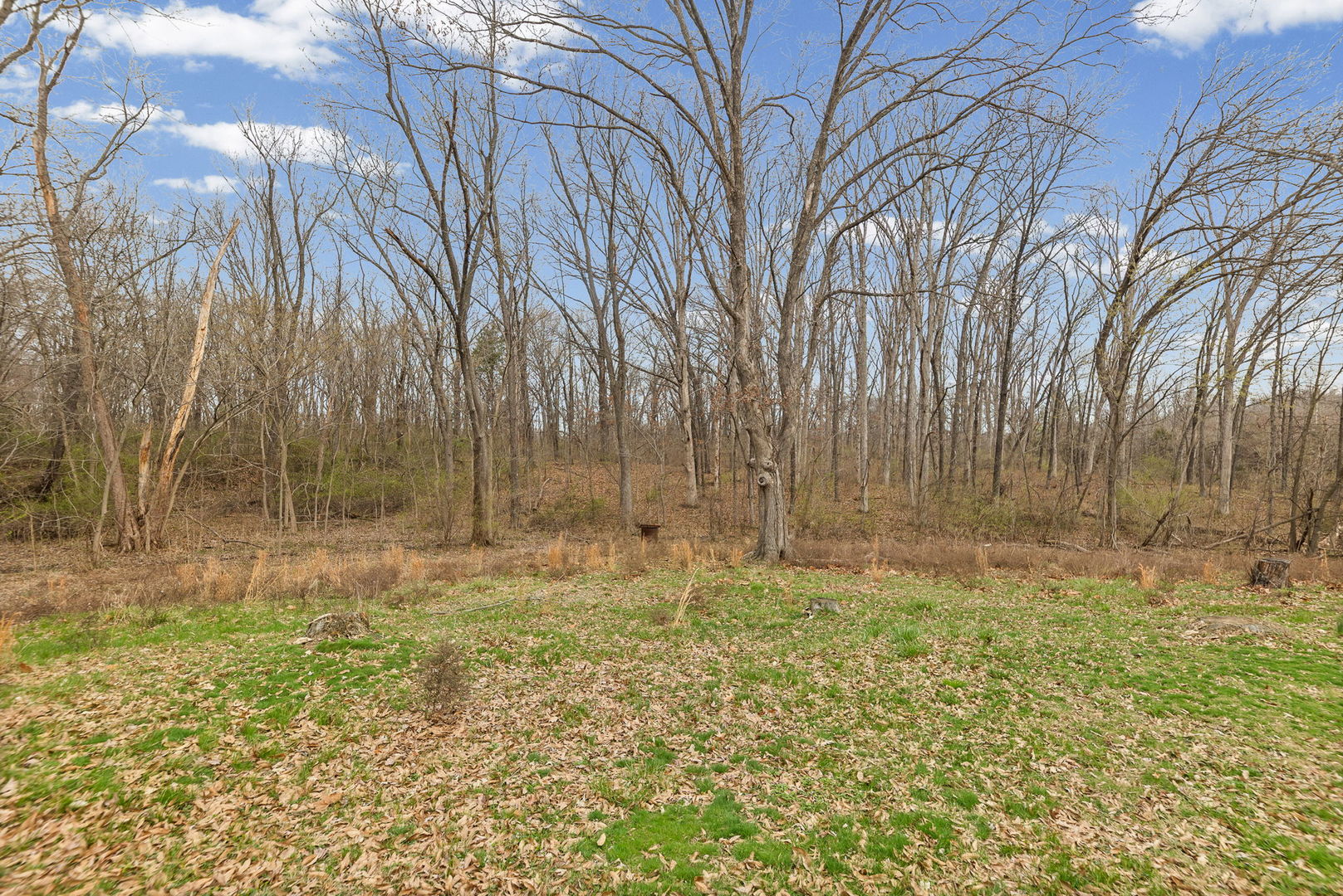 2429 Overbeck Lane Property Photo 6