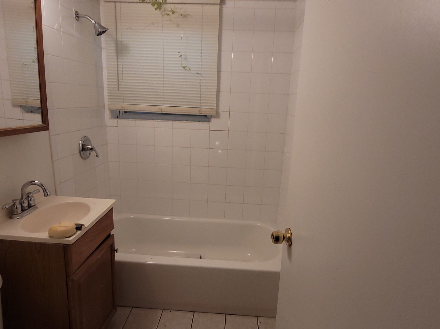 11720 S Wentworth Avenue Property Photo 10