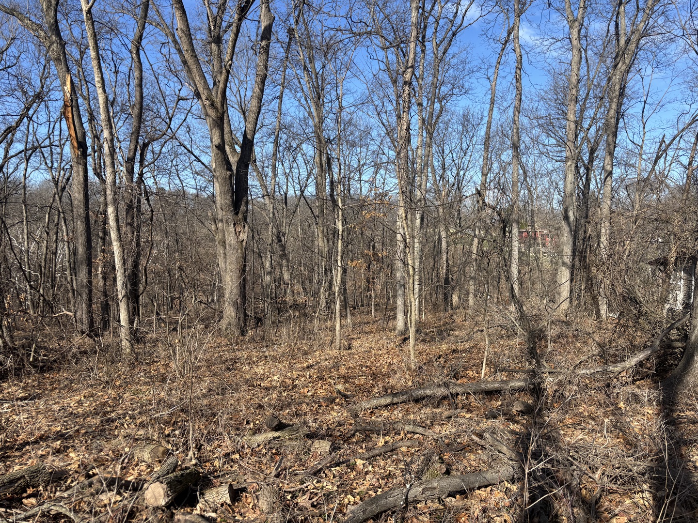 1668 Lakeside Court Property Photo 2