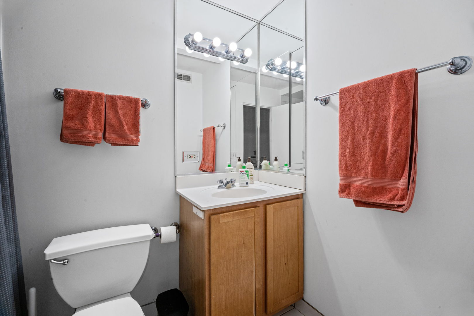 1528 S Wabash Avenue 304 Property Photo 5
