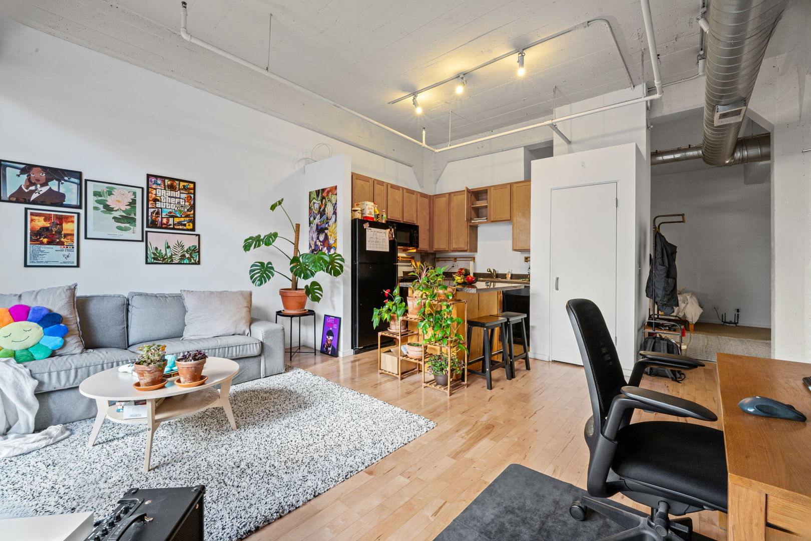 1528 S Wabash Avenue 304 Property Photo 7