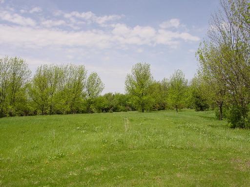 12594215 Property Photo 3