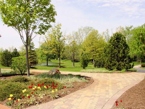 12594215 Property Photo 6