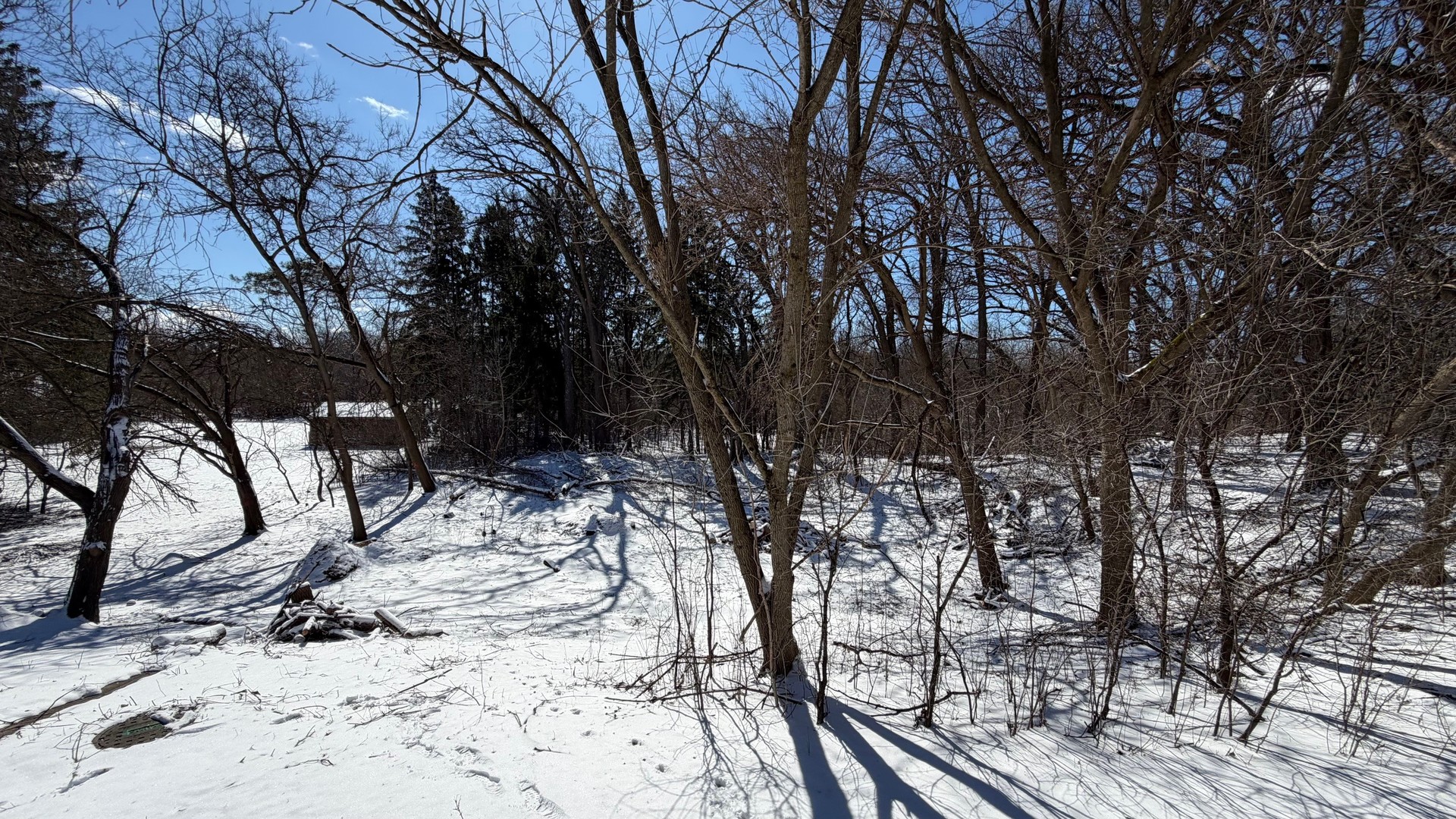 Lot 1 Asbury Avenue Property Photo 3