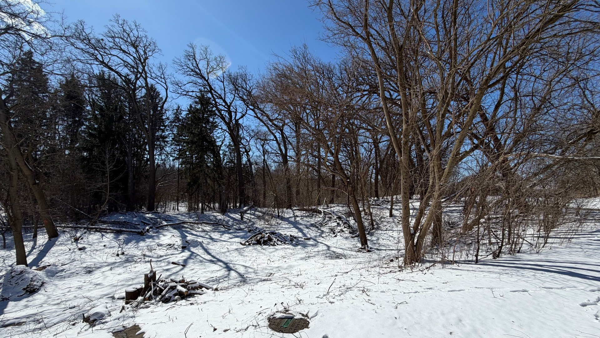 Lot 1 Asbury Avenue Property Photo 5