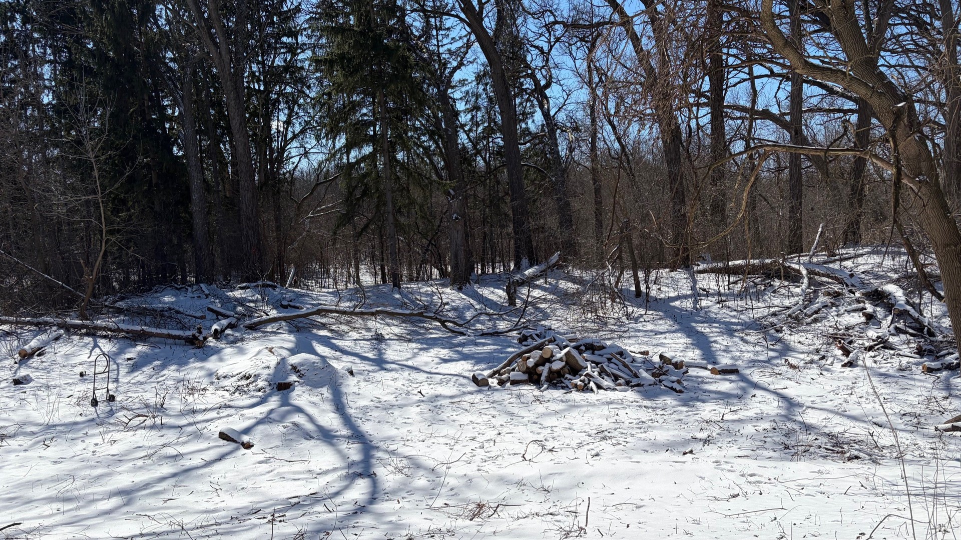 Lot 2 Asbury Avenue Property Photo 5