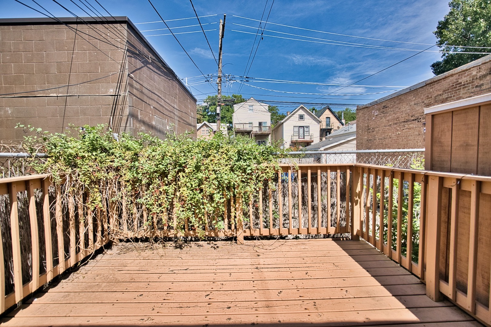 2310 W Belmont Avenue Property Photo 22