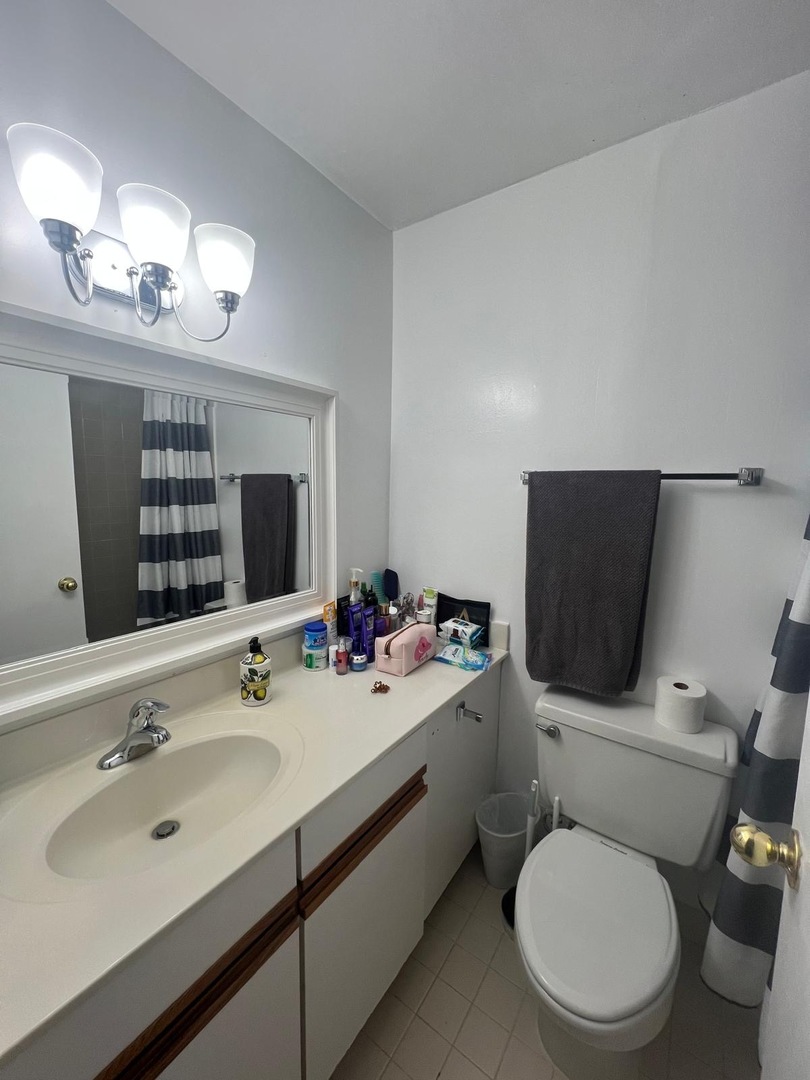 2921 S Michigan Avenue 413 Property Photo 14