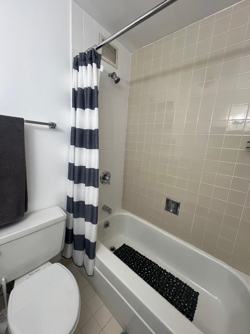 2921 S Michigan Avenue 413 Property Photo 15