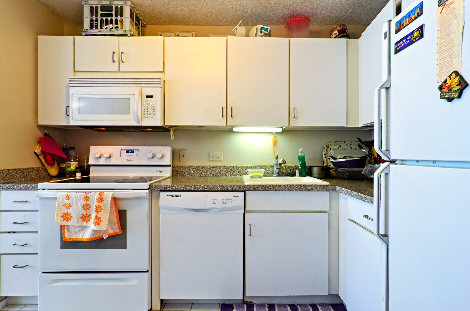 405 N Wabash Avenue 110 Property Photo 6