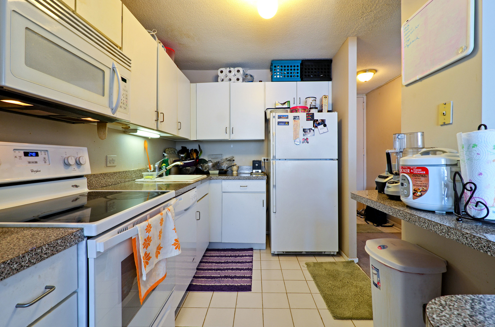 405 N Wabash Avenue 110 Property Photo 7