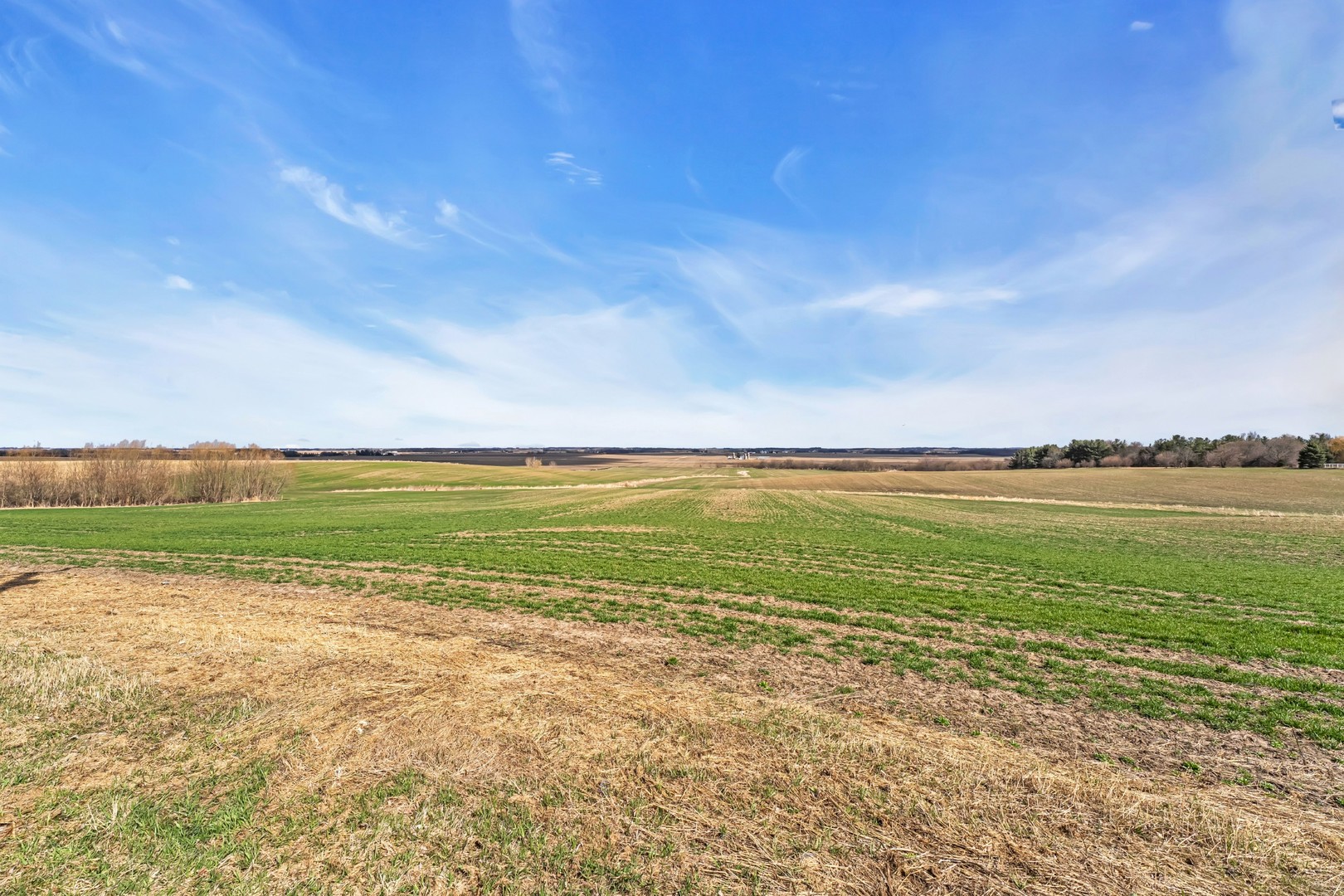 12599742 Property Photo 7